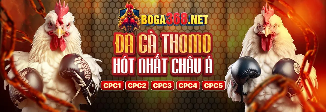Hình ảnh tổng quan về cá cược thể thao tại bong68 nổ hũ